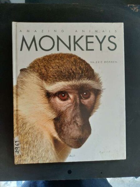Monkeys amazing animals