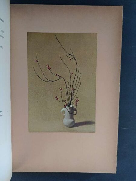 Coloured pictures of represntative flower arrangements