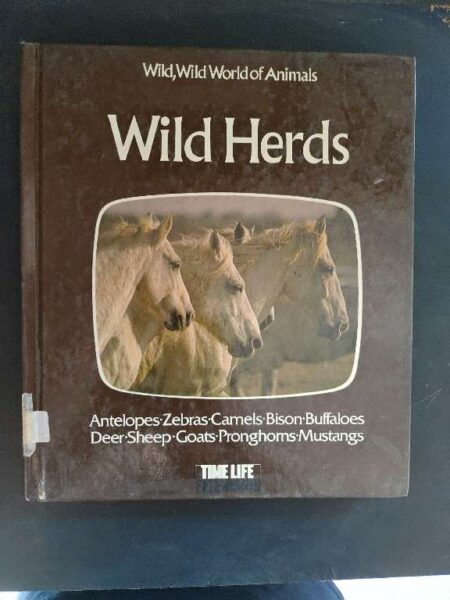 Wild, Wild world of animals Wild Herds