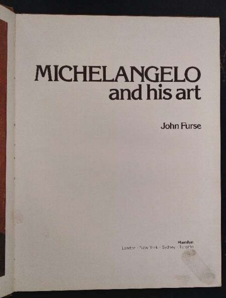 Michelangelo And His Art