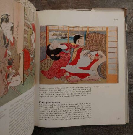 Oriental erotic Art