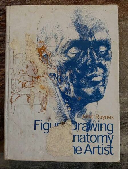 Figure drawing & anatomy for the Artist
