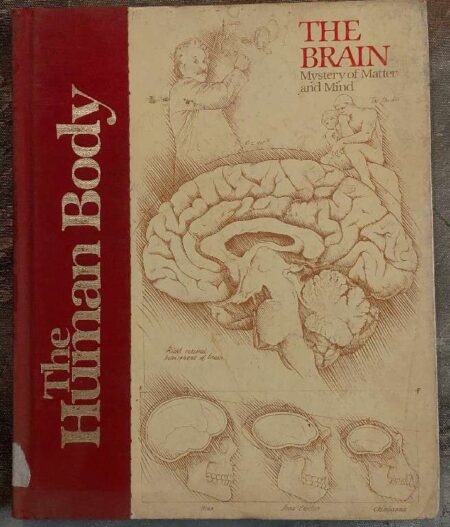 The Brain mystery of matter and mind