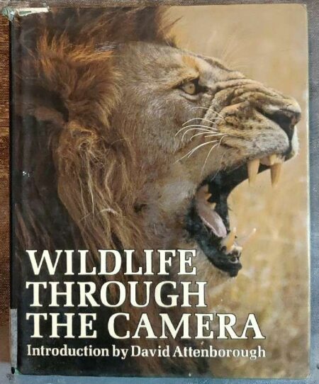 Wildlife through the camera