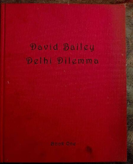 David bailey delhi dilemma Book one