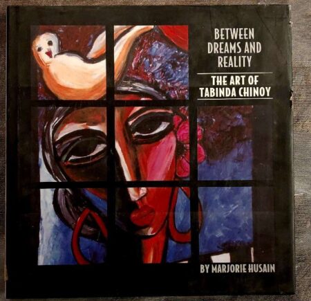 Between dreams and reality the art of tabinda chinoy