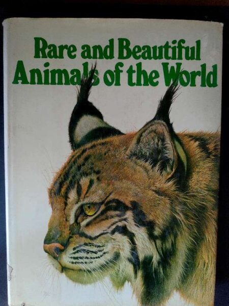 Rare and beautiful animals of the world