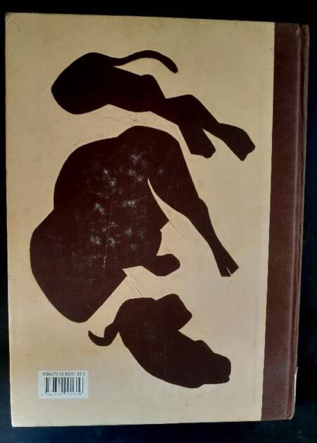 Tyeb mehta triumph of vision