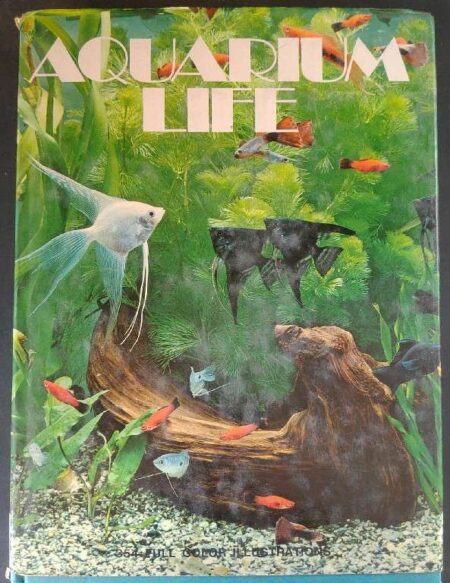 Aquarium life