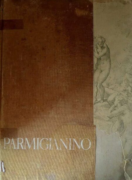 Parmigianino Disegni 