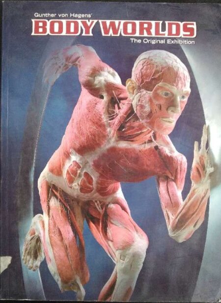 BODY WORLDS - The Original Exhibition