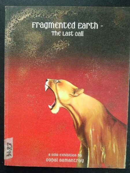 Fragmented Earth The Last Call