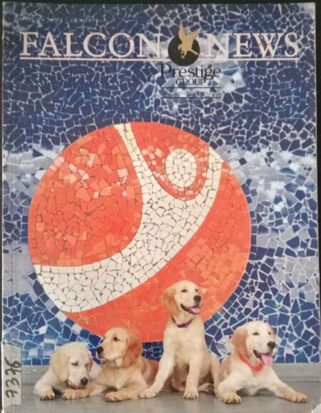 Falcon News Prestige Group July 2017