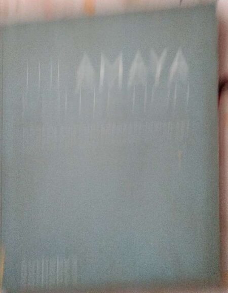 Sotheby's The Amaya Collection Moderb And Contemporary Indain Art Auction In New York 19 March 2013