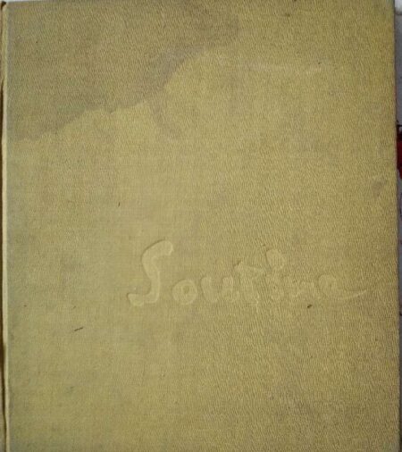 Soutine by Andrew Forge