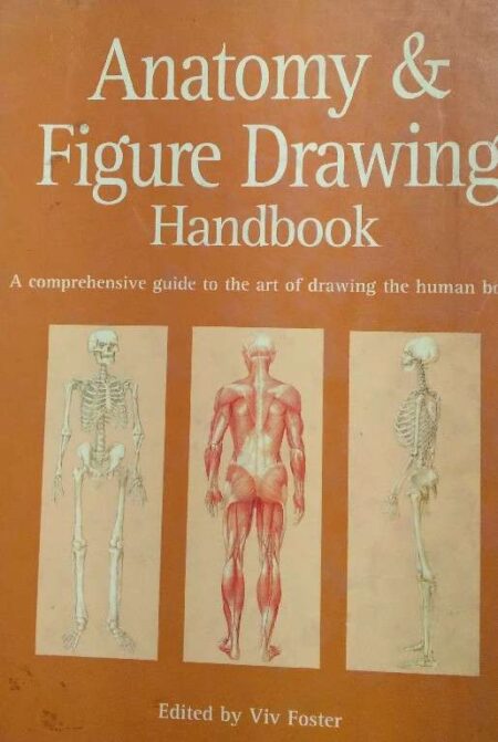 Anatomy and Figure Drawing handbook