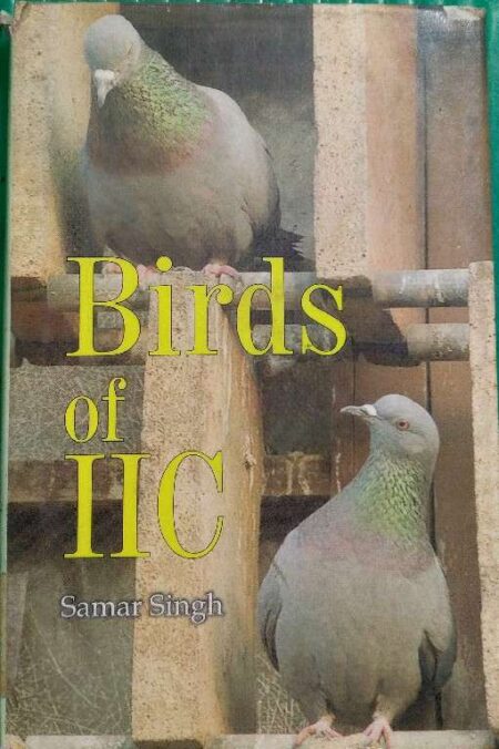 Birds of IIC Samar Singh