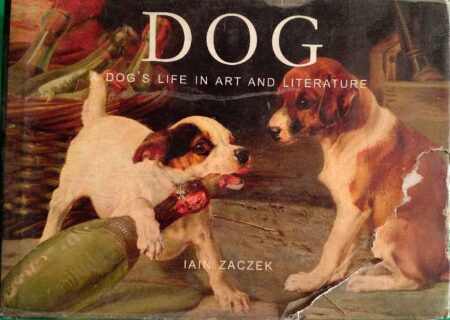 Dog's Lige In Art And Literature Iain Zaczek