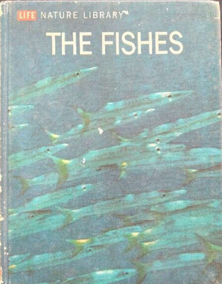 The Fishes by F.D. Ommanney