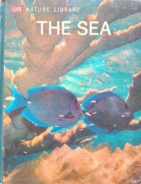 The Sea by Leonard Engel