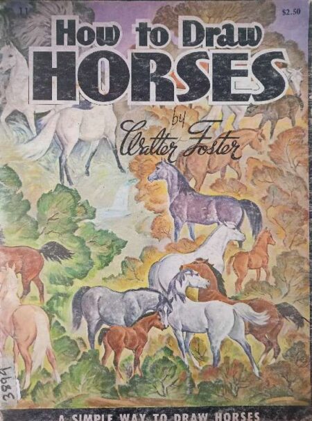 HOW TO DRAW HORSES
