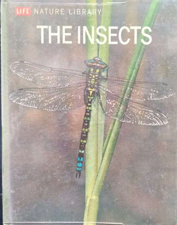 Life nature library the insects by peter farb
