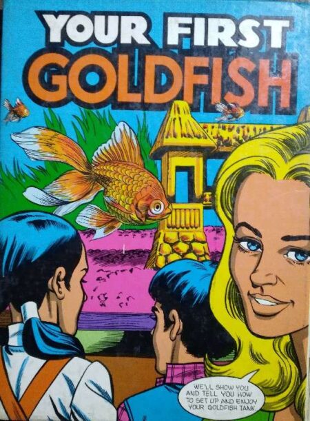 Your First Goldfish