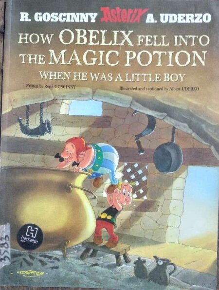 The obelix fell into the magic potion when he was a little boy