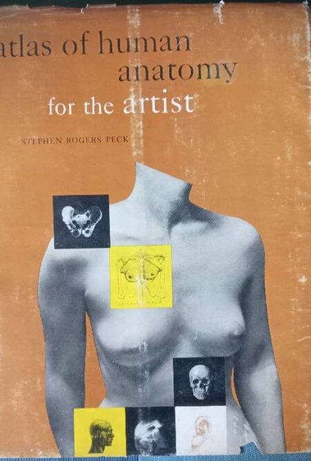 ATLAS OF HUMAN ANATOMY FOR THE ARTIST STEPHEN ROGERS PECK