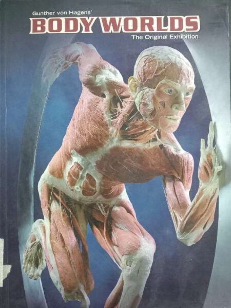 BODY WORLD THE ORIGNAL EXHIBITION