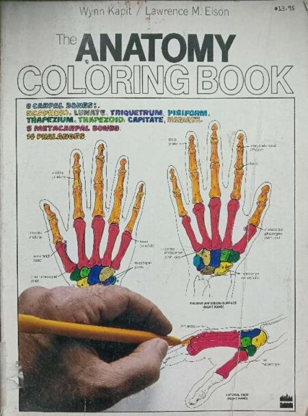 THE ANATOMY COLORING BODY
