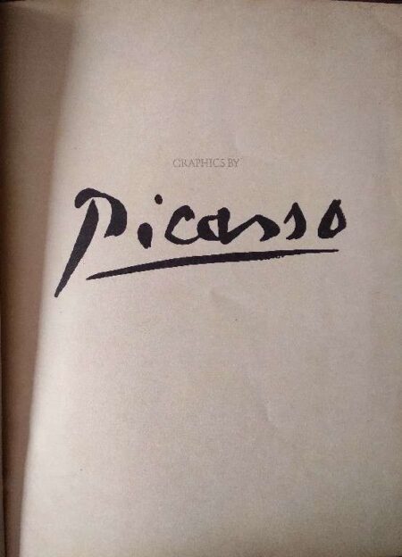 GRAPHICS BY PICASSO