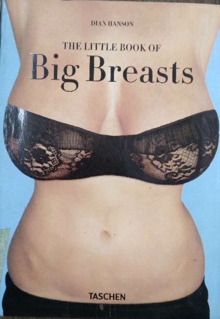 THE LITTLE BOOK OF BIG BREASTS BY DIAN HANSON