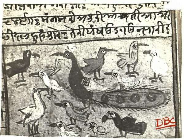Rajasthan Painting- folk Birds