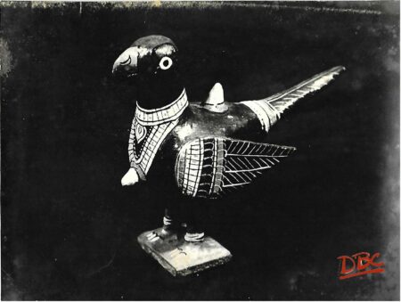 Wood Parrot (South India)