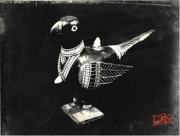 Wood Parrot (South India)