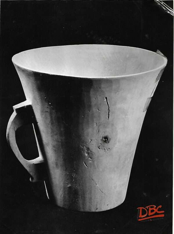 Angani Sheisning (Mug)
