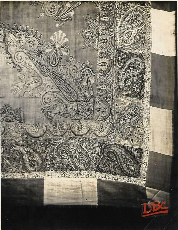 Janwar Shawl