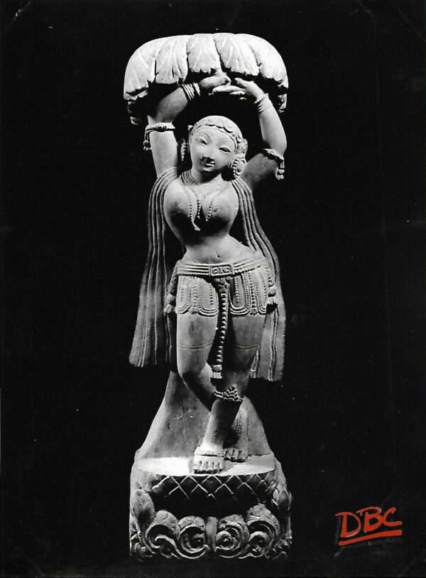 Female Figure