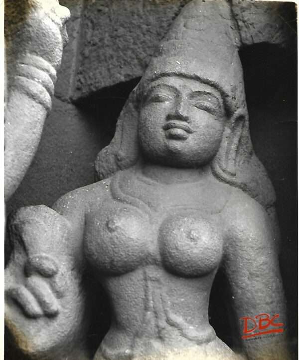 Gaugai Konda cholapuram brush afa devi