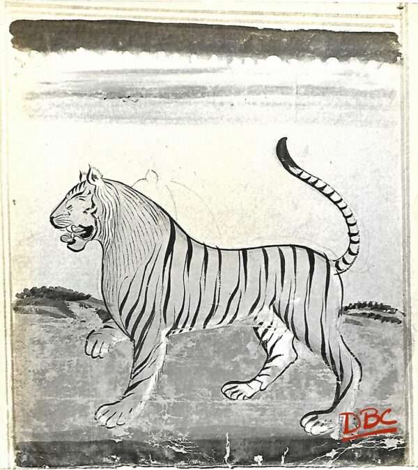Painting Paper Rajasthan Tiger