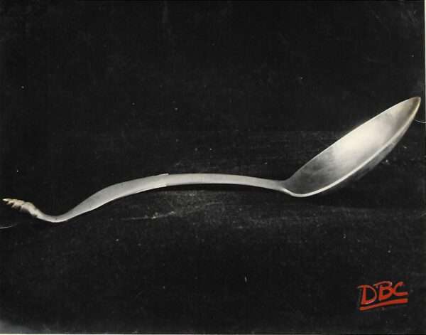 Spoon