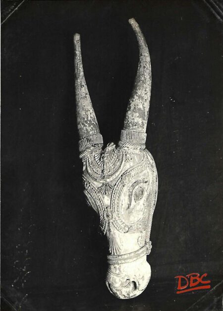 Printed Bull Head Wood Nasik