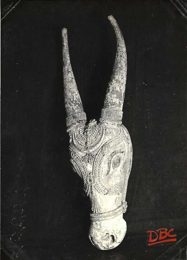 Printed Bull Head Wood Nasik