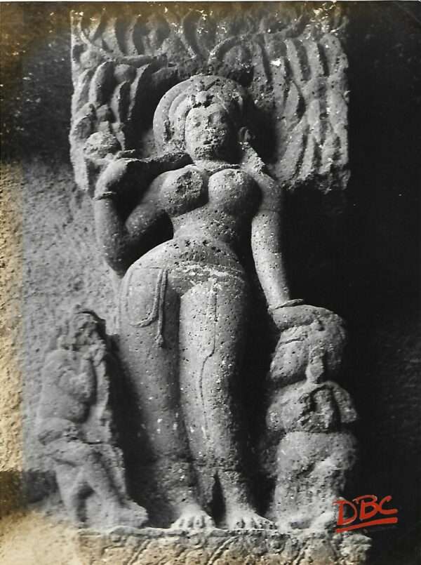 Ellora Cave No. 17 Braclul