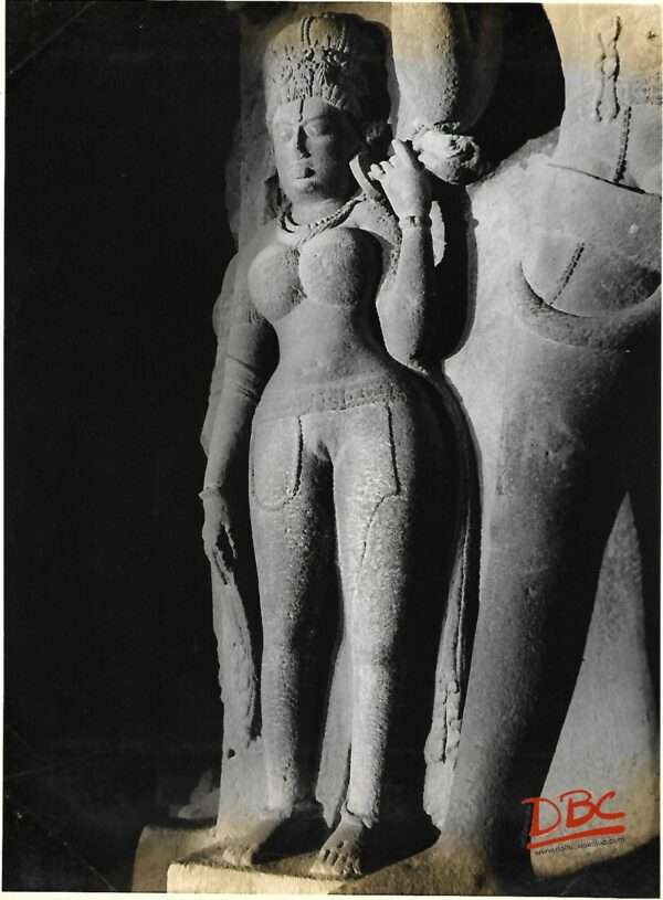 Sllora Cave 29 A Lady Near the Dwarapala