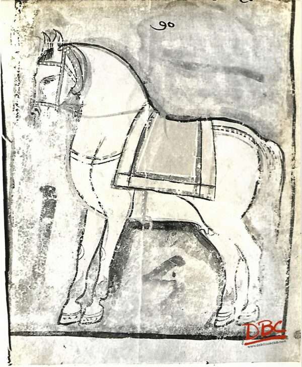 Painting Rajasthan Painted Horse