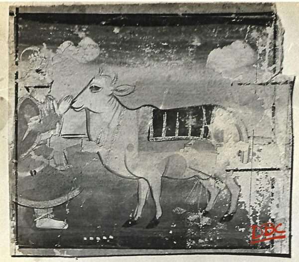 Painting Paper Rajasthan cow being pratted