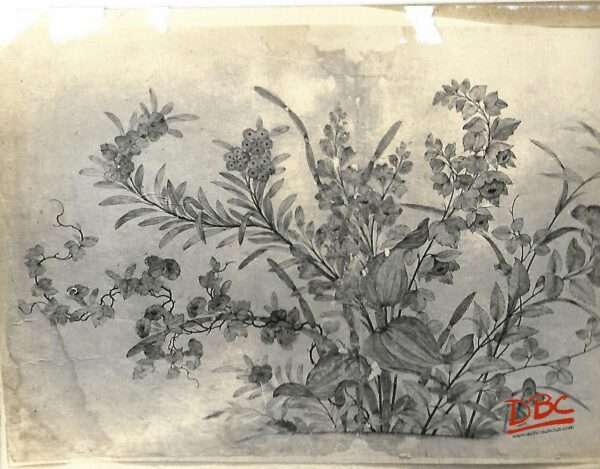 Paper Design Daccan
