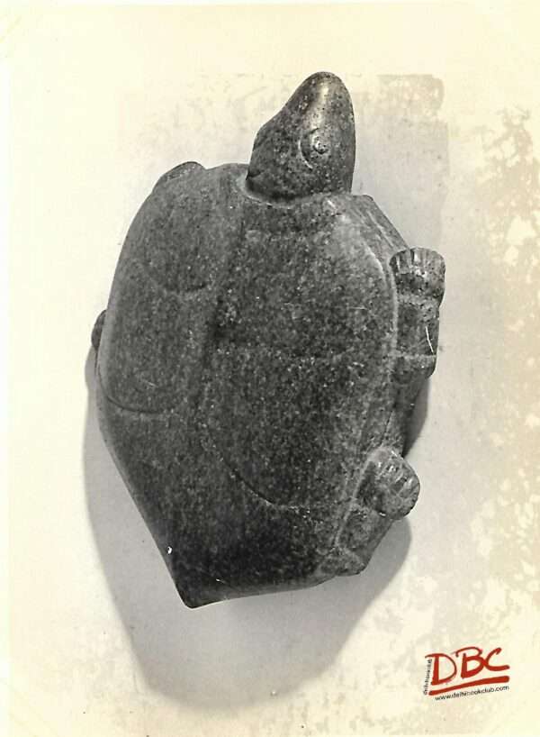 Tortainse stone